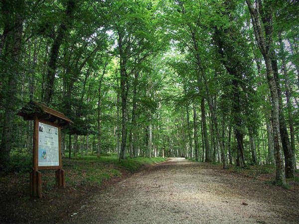 Ca Sal Holiday Home Lesina Luaran gambar