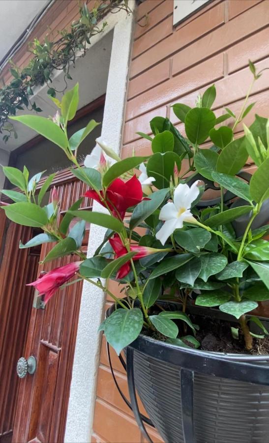 Ca Sal Holiday Home Lesina Luaran gambar